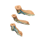 Set van 3 anatomische voeten