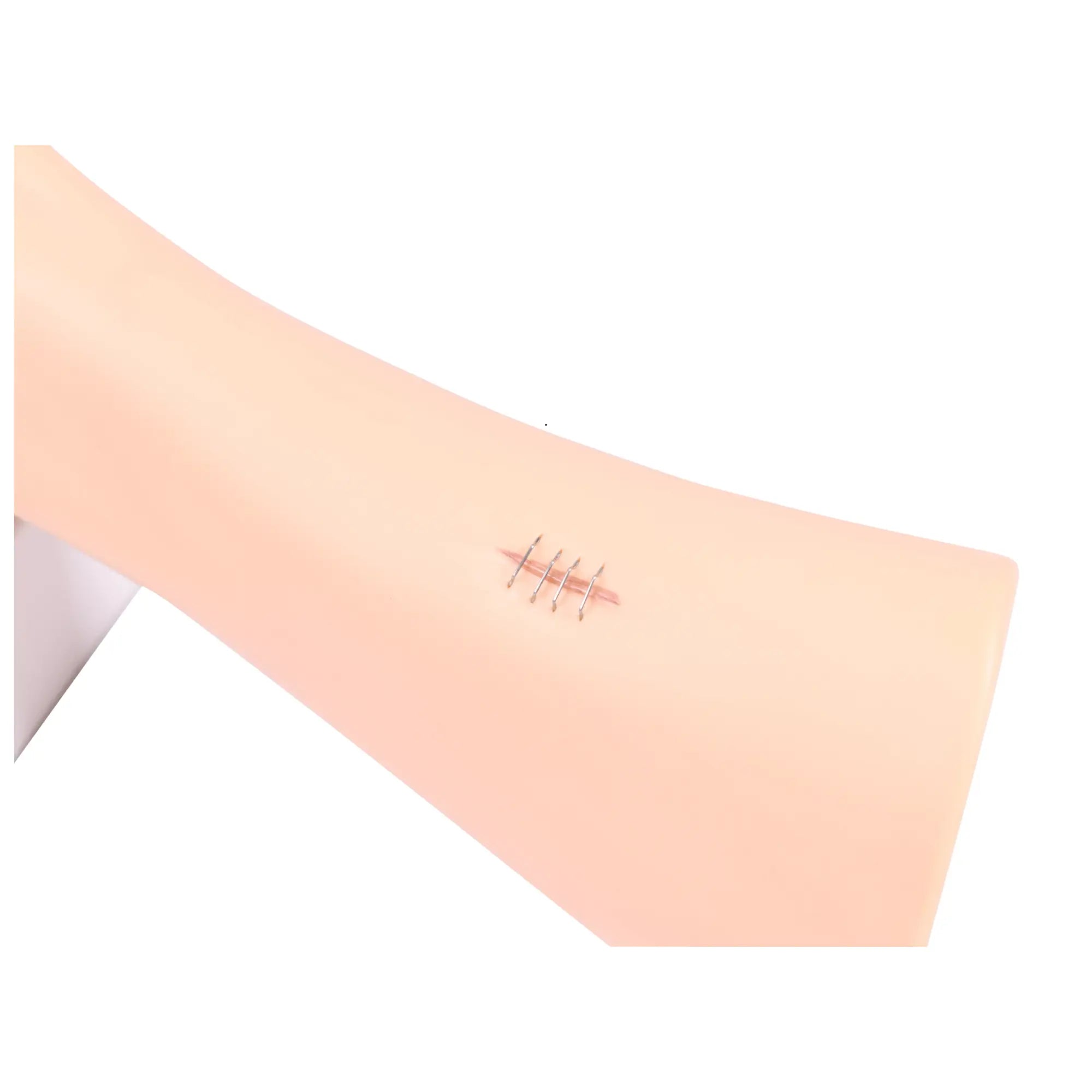 Foot model with wounds - Anatomy and pathology My Podiatry 
